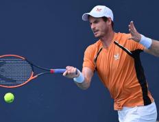 乐鱼-关于美国网球队逆转西班牙网球队，穆雷高光表现的信息