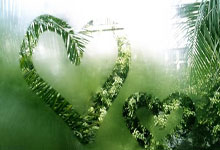 乐鱼体育网站入口-关于韩国队绝杀印度队，黄鸭组合高光表现的信息