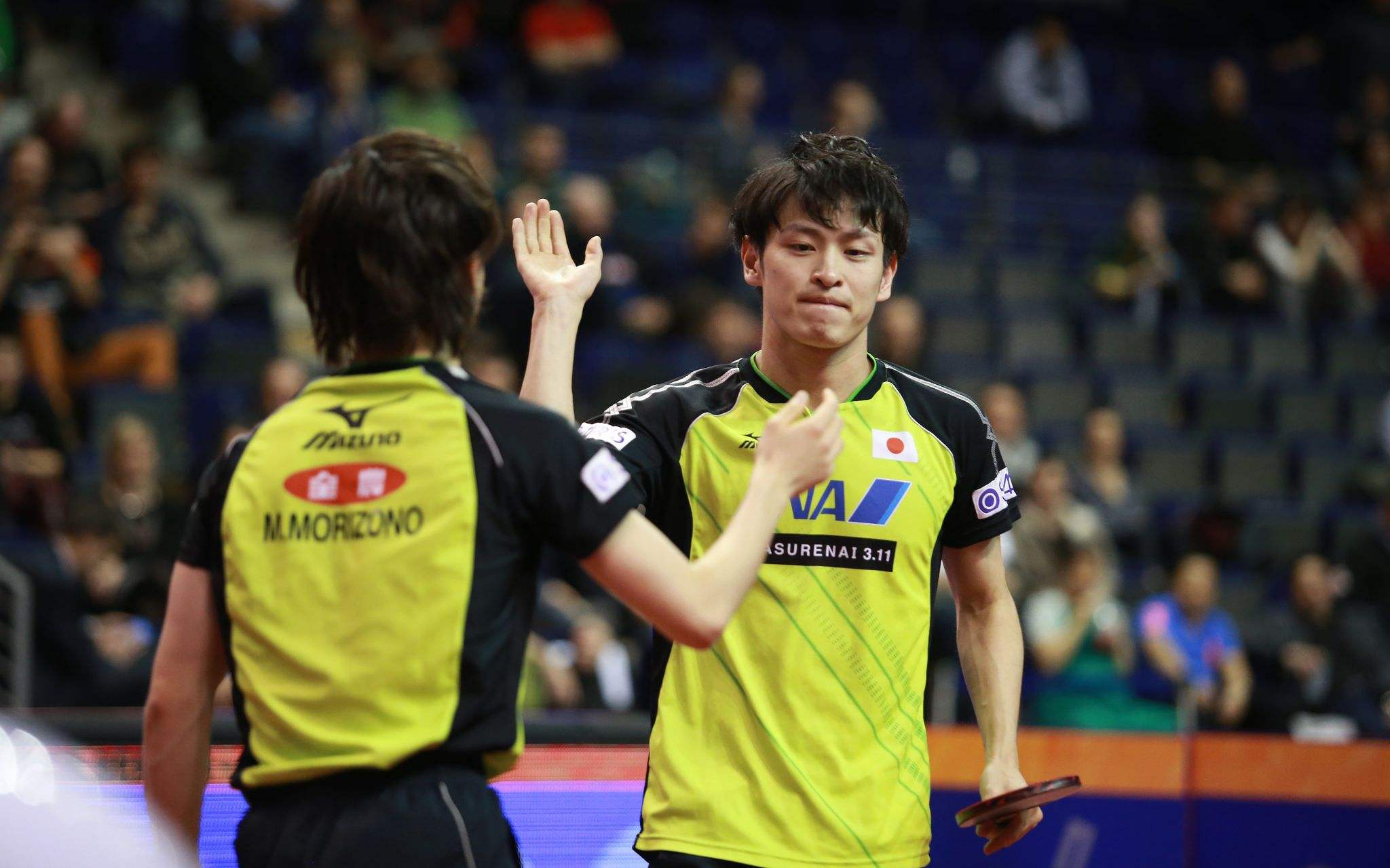 乐鱼体育-奥地利乒乓球队碾压英国乒乓球队，波尔制霸全场的简单介绍