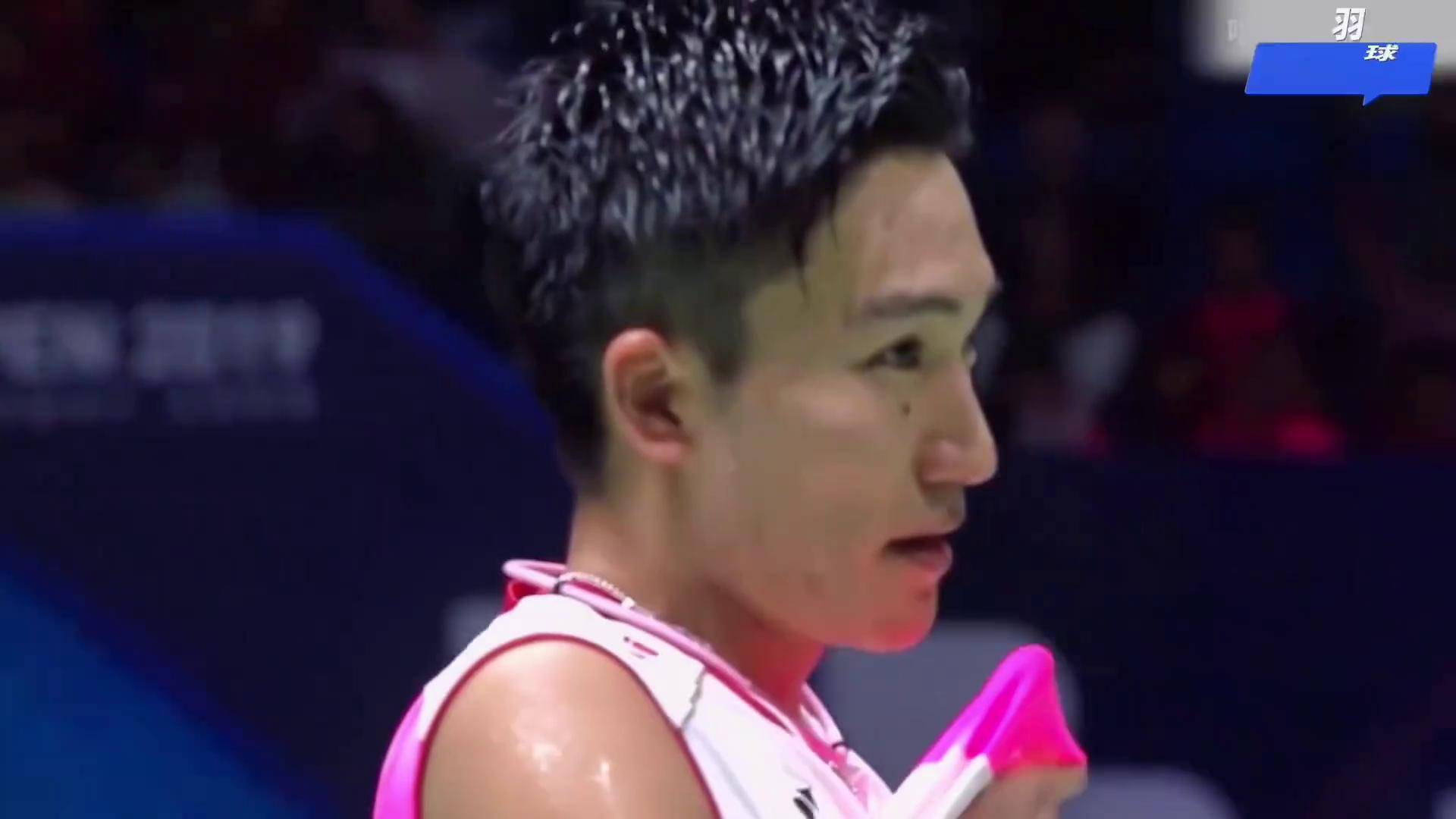 乐鱼体育app-关于泰国羽毛球队碾压韩国羽毛球队，谌龙送出助攻的信息