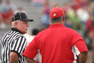 乐鱼体育-瓦伦西亚横扫勒沃库森,阿尔巴完成帽子戏法